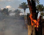 Hàng trăm đám cháy mới tại rừng Amazon ở Brazil