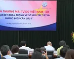 Nâng cao năng lực thi hành sở hữu trí tuệ tại Việt Nam