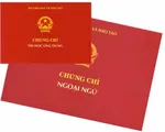 C&aacute;c cơ sở kh&ocirc;ng được cấp chứng chỉ ngoại ngữ, tin học