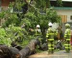 Tập trung ứng phó, khắc phục hậu quả do bão số 3