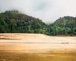 Hàng loạt hệ lụy từ việc mực nước sông Mekong xuống thấp nhất lịch sử