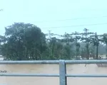 Mưa lớn kéo dài, nhiều khu vực tại Lâm Đồng chìm trong nước lũ