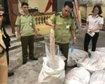 Bắt giữ 700kg lòng lợn đã bốc mùi hôi thối