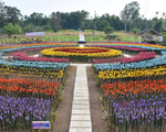 Thành phố Lamitan biến rác thải nhựa thành hoa tulip