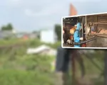 Bộ Y tế khảo sát tình hình sốt xuất huyết tại tỉnh Đồng Nai