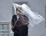 Siêu bão Faxai càn quét Nhật Bản: Giao thông tê liệt, nhiều công trình hư hỏng