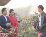 Ghé thăm trang trại hoa hồng cổ hồ Núi Mủn, Thái Nguyên