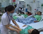 TP.HCM: Tai nạn giao thông giảm sau 10 ngày xử lý uống rượu bia khi lái xe