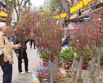 Nồng nàn vị Tết ở chợ hoa lâu đời nhất Hà Nội