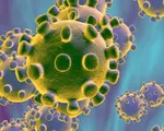 Triệu chứng nhiễm Coronavirus mới và cách phòng tránh