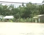 Quảng Nam lũ bắt đầu dâng cao