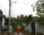 Điện lực miền Trung khẩn trương khôi phục lưới điện sau mưa lũ