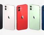 iPhone 12 vừa ra mắt, nhiều trang web đã nhận “đặt hàng”