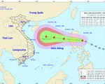 Thông tin giả mạo về bão số 8 là vô lương tâm