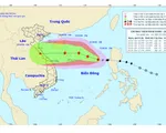 Bão số 8 giật cấp 11 đang cách quần đảo Hoàng Sa 560km