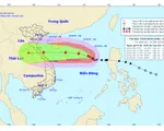 Bão số 8 mạnh thêm cách quần đảo Hoàng Sa 360km