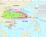 Bão số 8 giật cấp 14, cách quần đảo Hoàng Sa 390km