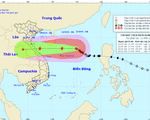 Ven biển từ Hà Tĩnh đến Quảng Trị sẽ bị ảnh hưởng nhiều nhất bởi bão số 8