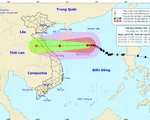 Bão số 8 chưa vào đất liền, áp thấp nhiệt đới mới đã xuất hiện trên biển