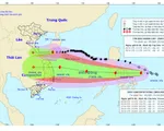 Bão số 8 giảm cấp tiến gần đất liền, bão số 9 có khả năng mạnh thêm