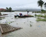 Cơn bão số 9: Cập nhật từng phút trên sóng và nền tảng số của VTV