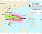 Bão số 9 dự kiến đổ bộ đêm 27/10, có thể tạo sóng cao hàng chục mét trên biển