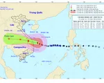 Bão số 9 áp sát ven biển Đà Nẵng đến Phú Yên, gây mưa to ở nhiều nơi