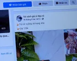 Kế hoạch 399 chống hàng giả trên thương mại điện tử: “Gian thương” liệu có thoát?
