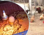 Tạo sinh kế cho người dân vùng bão lũ