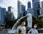 Singapore “trải thảm thị thực” đón các chuyên gia công nghệ