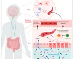 Vi khuẩn đường ruột có liên quan đến bệnh tự kỷ