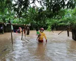 Bão Eta mạnh nhất trong vòng 22 năm đổ bộ Nicaragua và Honduras