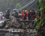 Bão Eta gây lở đất kinh hoàng tại Guatemala, hơn 100 người thiệt mạng