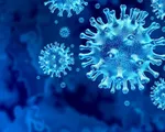 WHO theo dõi sát biến thể mới của virus SARS-CoV-2 tại Anh