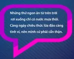 Bóc trần sự thật kiếm lợi 1.700%/năm trên TikTok