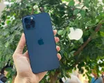 Người Việt cần làm việc bao nhiêu ngày để mua iPhone 12?