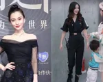 Nói tiếng Nhật trong show truyền hình thực tế, Angelababy được ngưỡng mộ