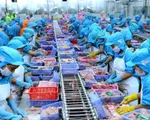 Ngành thủy sản ứng phó trước tác động của dịch nCoV