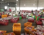 Long An: Nông dân trồng thanh long điêu đứng do ảnh hưởng bởi dịch do virus Corona