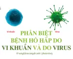 Phân biệt bệnh hô hấp do vi khuẩn và do virus