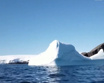 Nam Cực trải qua ngày nóng kỷ lục do biến đổi khí hậu