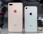 Apple sắp khai tử iPhone 8/8 Plus