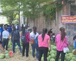 Dưa hấu Quảng Ng&atilde;i gặp kh&oacute; v&igrave; kh&ocirc;ng ti&ecirc;u thụ được