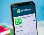 WhatsApp thử nghiệm tính năng kiểm chứng thông tin về COVID-19