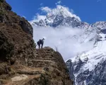 Hàng trăm người mắc kẹt trên dãy Himalaya sau khi Nepal áp dụng lệnh phong toả