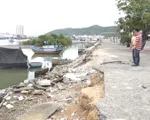 Cà Mau thống nhất phương án khắc phục sụt lún đê biển Tây