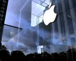 Cổ phiếu Apple tăng vọt 7#phantram
