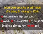 10 tỉnh, thành đã xuất hiện dịch cúm gia cầm