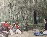 Ngô Ngạn Tổ tiết lộ lý do kết hôn trong rừng ở Nam Phi 10 năm trước