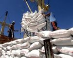 Doanh nghiệp xuất khẩu gạo kiến nghị xem xét lại việc mở tờ khai